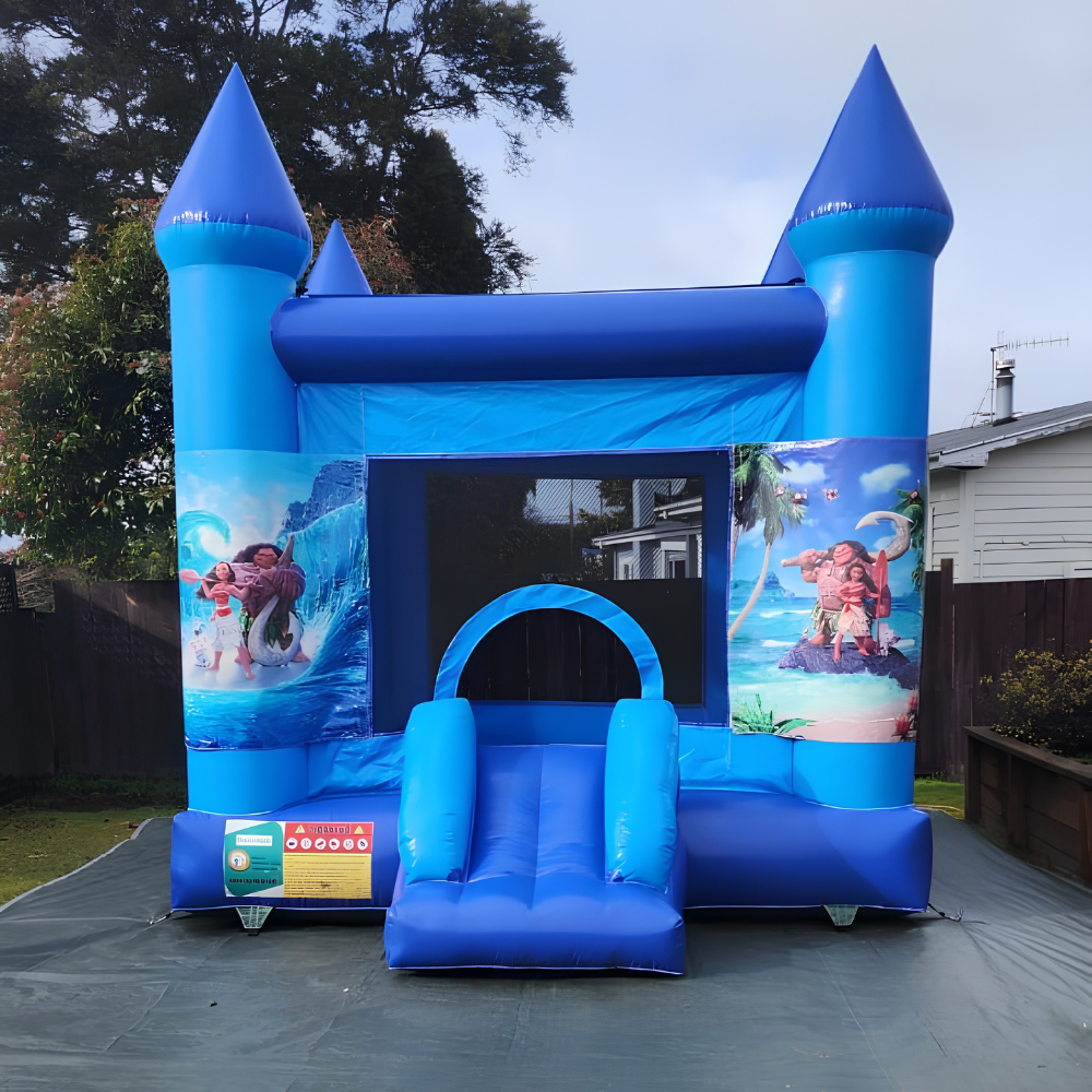 Character Bouncy Castle – Choose Your Theme image 3