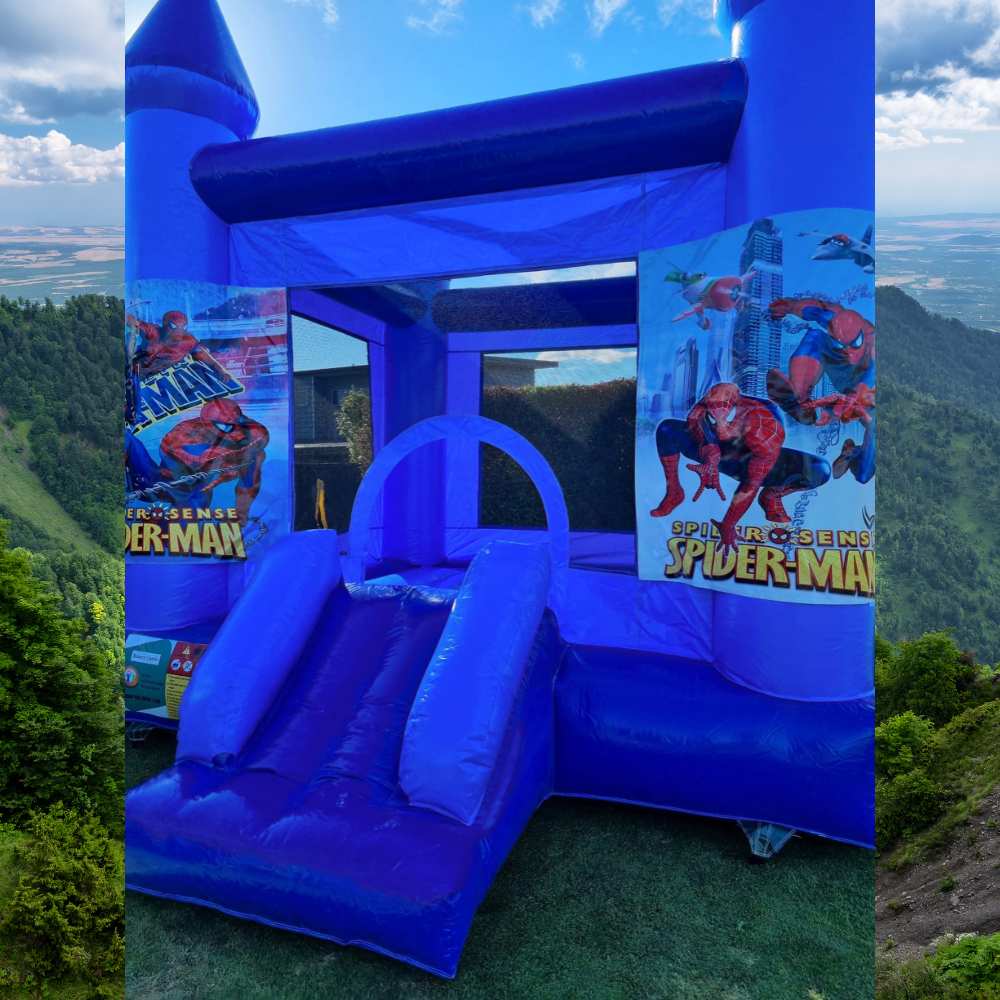 Character Bouncy Castle – Choose Your Theme image 7