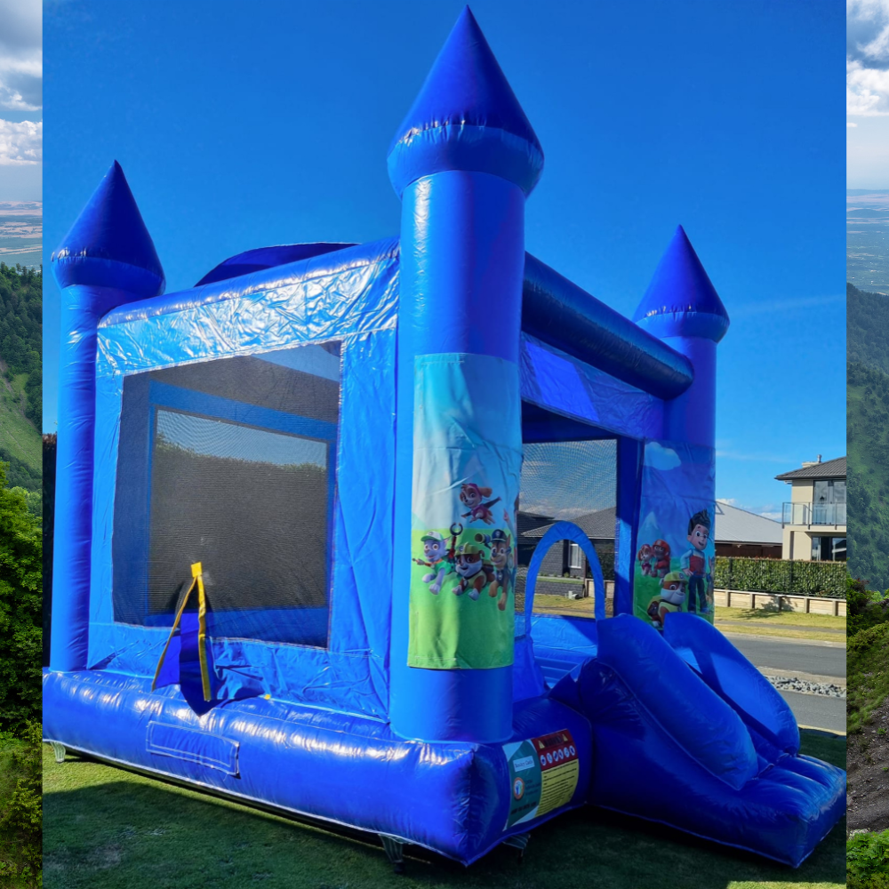 Character Bouncy Castle – Choose Your Theme image 9