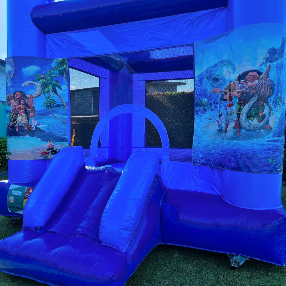 Character Bouncy Castle – Choose Your Theme image 10
