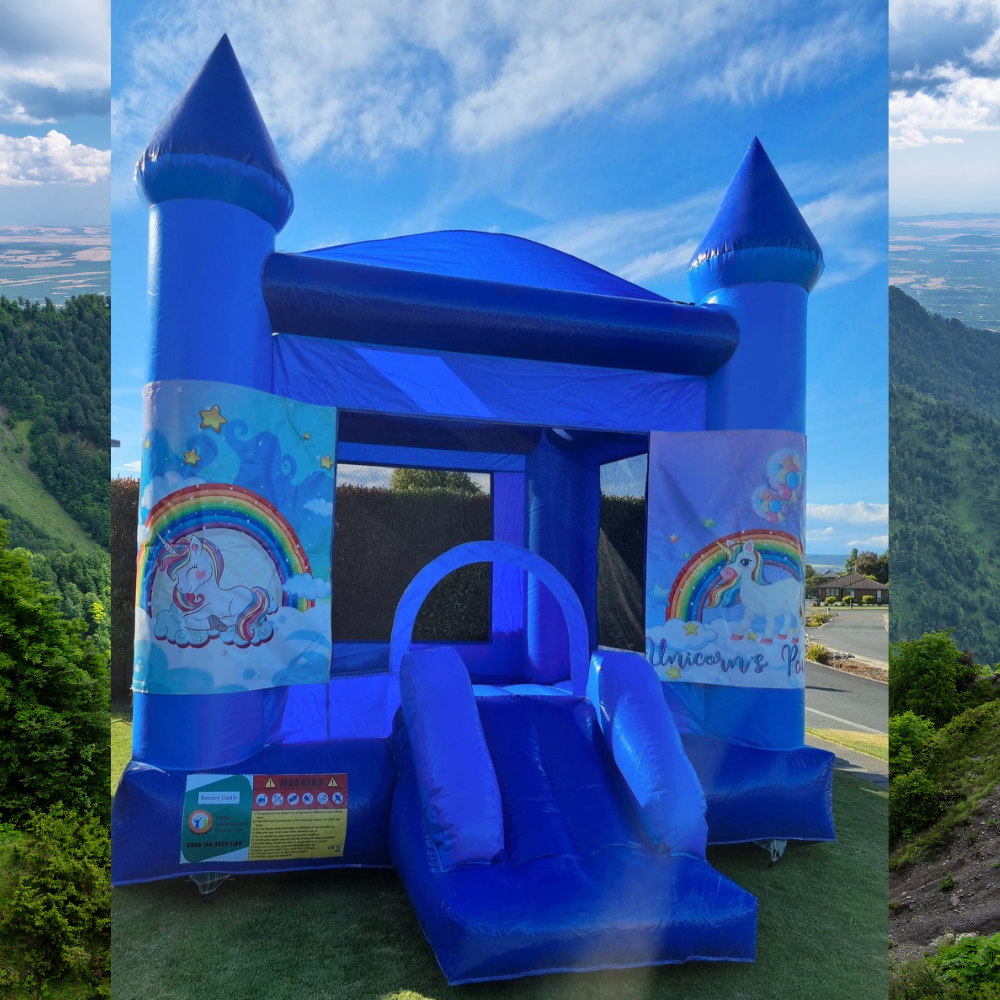 Character Bouncy Castle – Choose Your Theme image 11