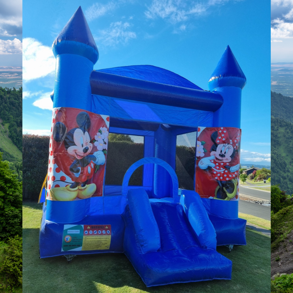 Character Bouncy Castle – Choose Your Theme image 12