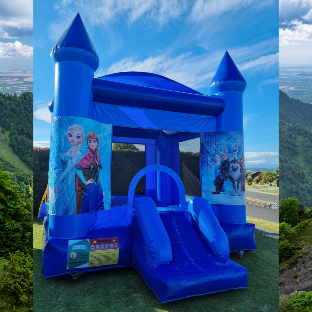 Character Bouncy Castle – Choose Your Theme image 13