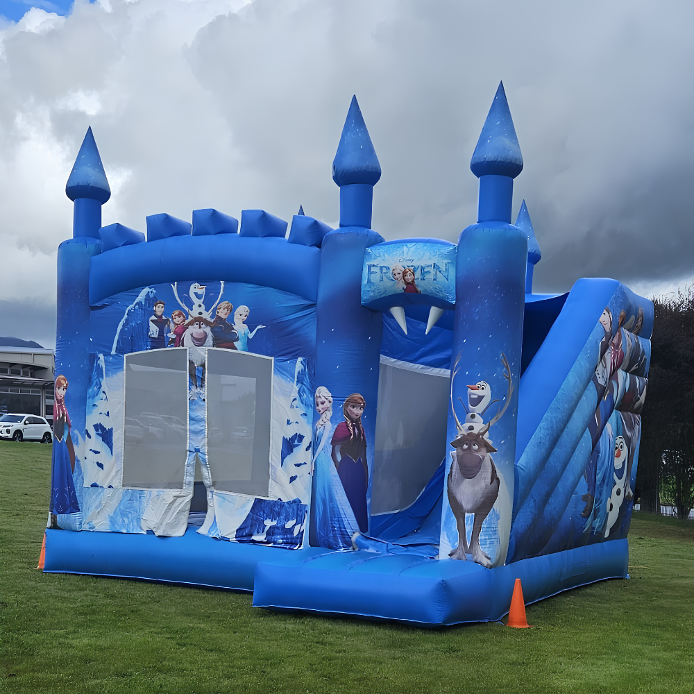 Frozen Castle with Slide image 2