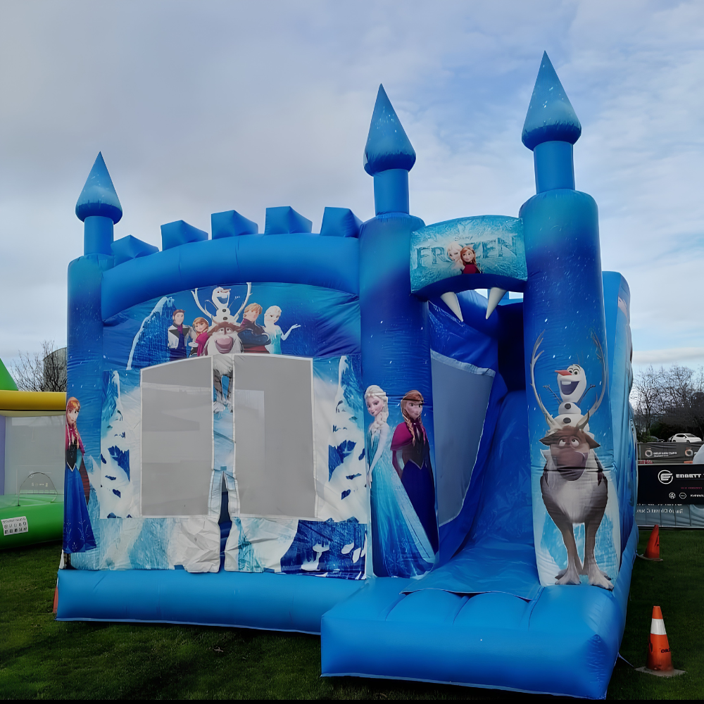 Frozen Castle with Slide image 3
