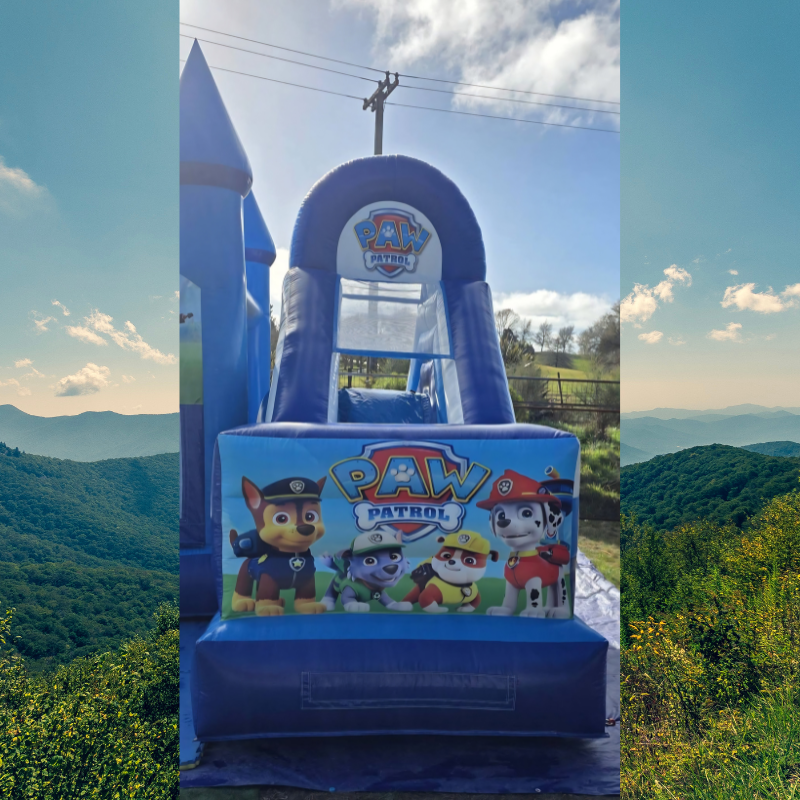 Paw Patrol bouncy image 2